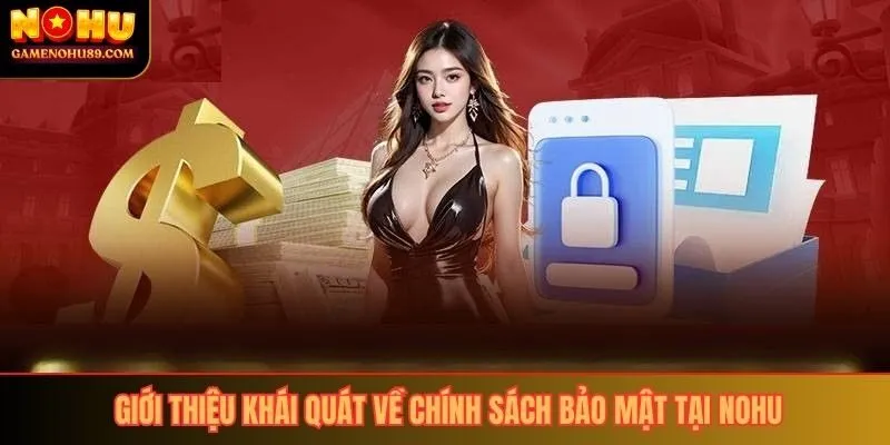 Giới thiệu khái quát về chính sách bảo mật tại Nohu