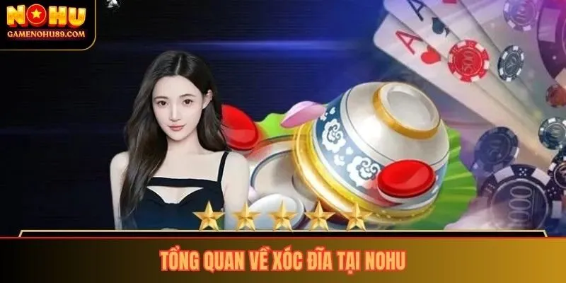 Tổng quan về xóc đĩa tại Nohu